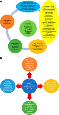 Editorial: Re-emergence of neglected tropical diseases amid the COVID-19 pandemic: epidemiology, transmission, mitigation strategies, and recent advances in chemotherapy and vaccines